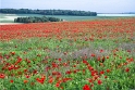 Tour Loire 05 - 201520150522_05226029 Kopie